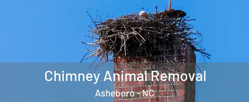  Chimney Animal Removal Asheboro - NC