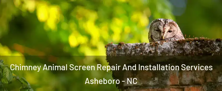  Chimney Animal Screen Repair And Installation Services Asheboro - NC