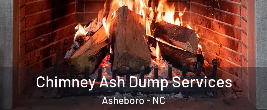  Chimney Ash Dump Services Asheboro - NC