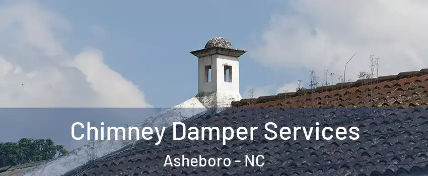  Chimney Damper Services Asheboro - NC