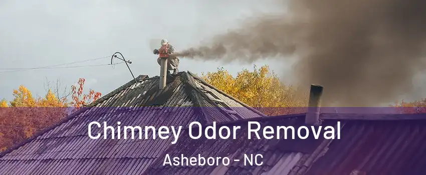  Chimney Odor Removal Asheboro - NC