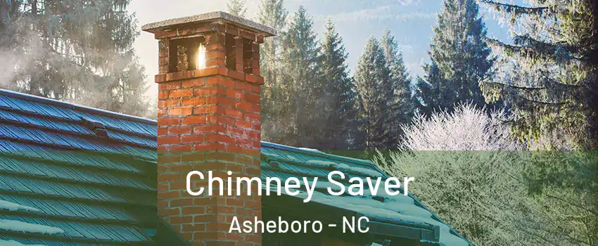  Chimney Saver Asheboro - NC