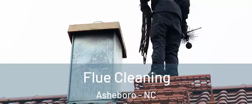  Flue Cleaning Asheboro - NC