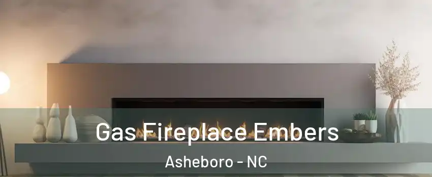  Gas Fireplace Embers Asheboro - NC